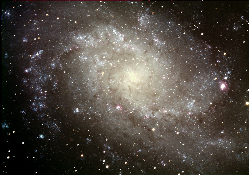 M 33 Spiral Galaxy